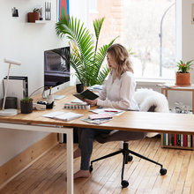 office