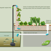 Cabin: Vegetable Garden Aquaponics