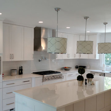 Sleek beautiful kitchen