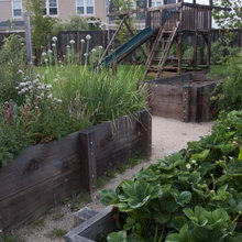 exterior- raised beds