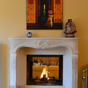 Living Room Fireplaces