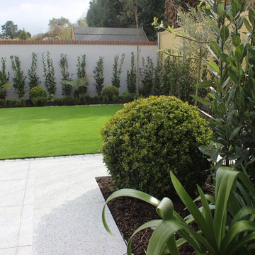 Contemporary Urban Garden