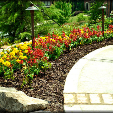 Annual Beds