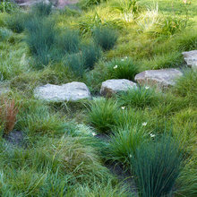 Condo Front Yard