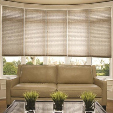 Budget Blinds in the Living Room