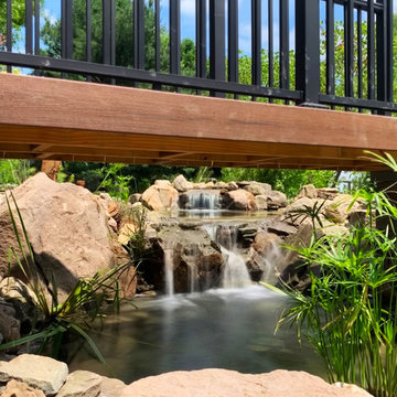 Bringing an 18yr Old Pond Back to LIFE