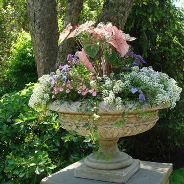 Summer Urn at Formal Entrance