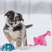 Cheryl Ducharme's photo
