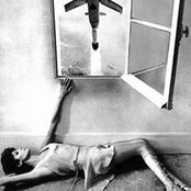 Camilo Sanin's photo