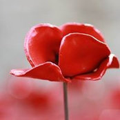 Jane Ramsden's photo