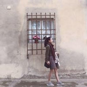 Shiwen Wang's photo