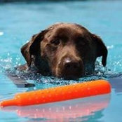 Traci Butler's photo