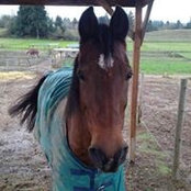 Colleen O'Dell's photo