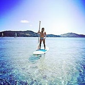 Carlos Oseguera's photo