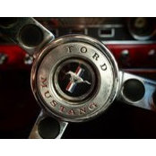 Andrew Kinghan's photo