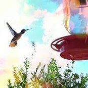 Patrice Blumenthal's photo