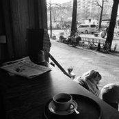 Olivier Pallys foto