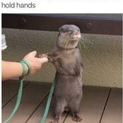 Mario Valrie's photo