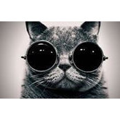 Carol McNichol's photo