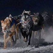 Margriet ter Braak-Wonnink's photo