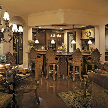 Sater Design Collection's 8055 "San Filippo" Home Plan