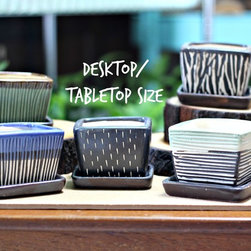 Teachers Day Specials - Indoor Pots And Planters