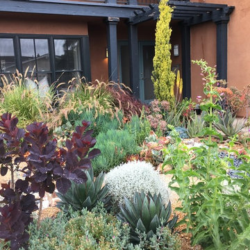 Soft Desert Gardens