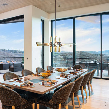 Modern Dining Room With Views