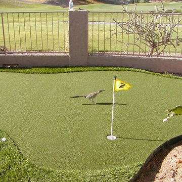 Backyard Putting Greens