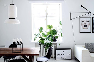 Inspiration for a scandinavian dining room remodel in Other