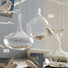 For the Birds