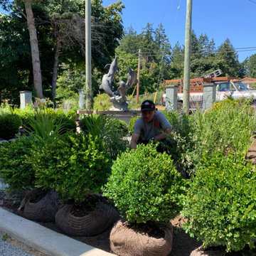 Seaside Plant Design/Install