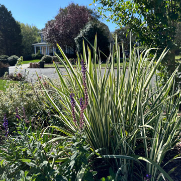 Concrete Sidewalk Becomes A Stroll Garden