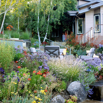 Mill Valley Hillside Garden