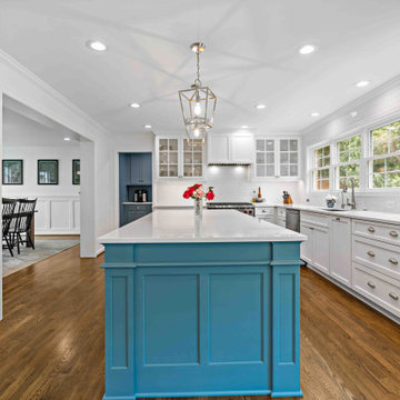 Incredibly Beautiful Vienna Home Remodel: Main Level