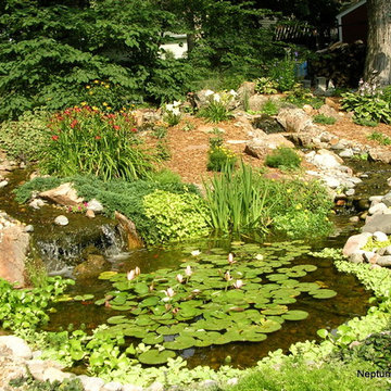 Koi Ponds and Water Gardens