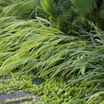 Garten mit fernöstlichen Anklängen