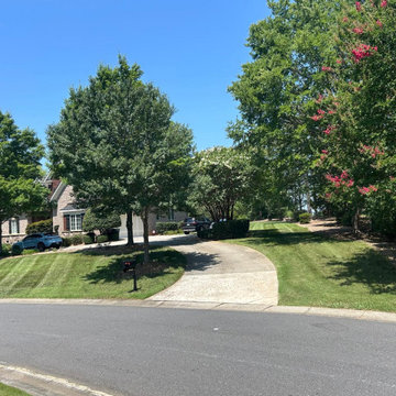 Emmanuel Estrada's Landscaping completed a landscape maintenance project focused