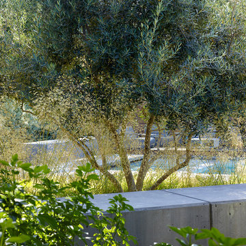 Lafayette Garden and Pool