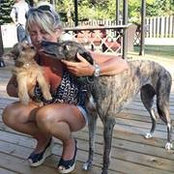 Lisa Kudlowsky's photo