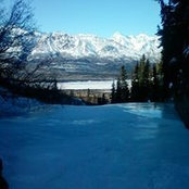 Todd Tatum's photo
