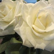 Nancy Nortell's photo