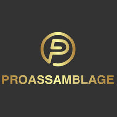 proassamblage team