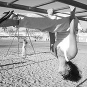 Cheryl Meyer's photo
