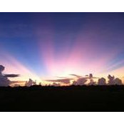 Greg McNeely's photo