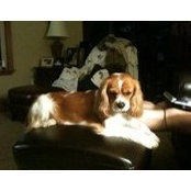 Sandra Channell's photo