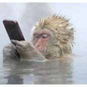 Greg Anderson's photo