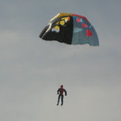 Navid shafaee's photo