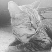 Cayla Faubert's photo