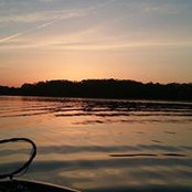 Shannon Lindsey's photo